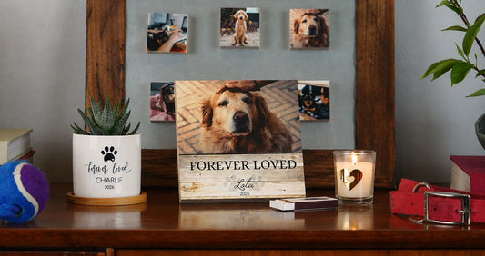 25 Dog Memorial Ideas to Honor Your Best Friend