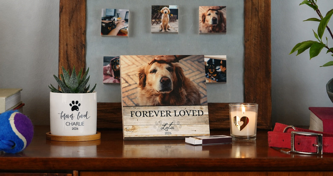 Where to Buy a Personalized Dog Memorial Online: A Buyer's Guide