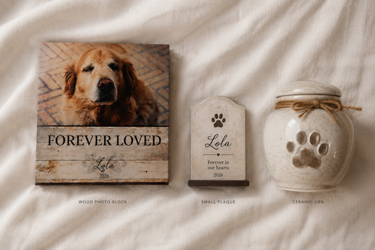 Dog Memorial Frames, Plaques, and Urns: How to Choose
