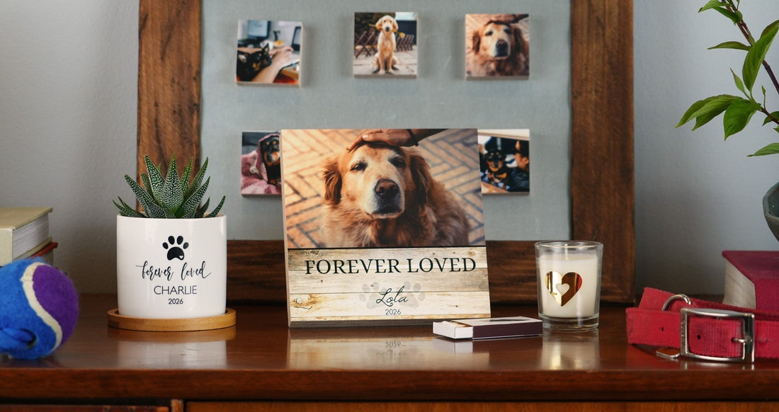 20 Meaningful Dog Memorial Gift Ideas: A Complete Guide (2026) - Shiner Photo