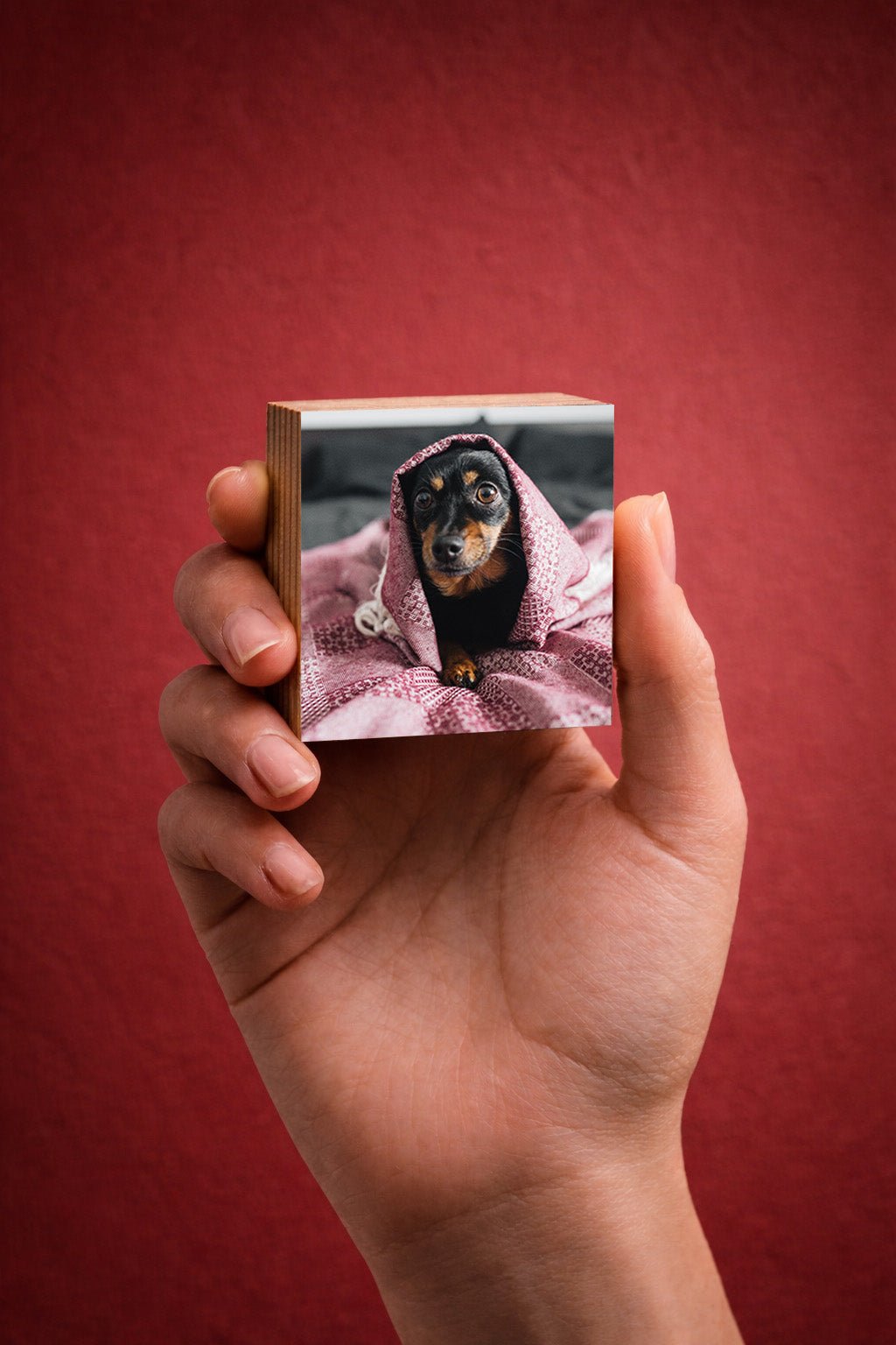Dog Memorial Magnetic Memory Set, Mini Photo Blocks for Multiple MemoriesShiner Photo