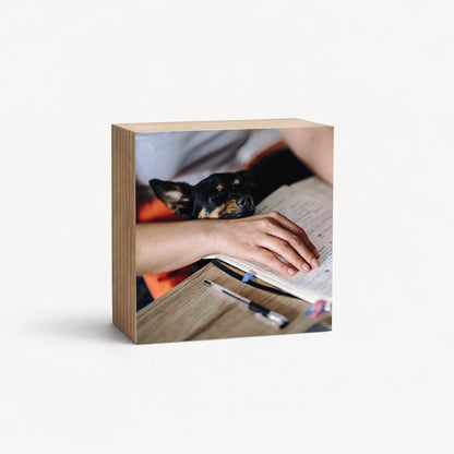 Dog Memorial Magnetic Memory Set, Mini Photo Blocks for Multiple MemoriesShiner Photo