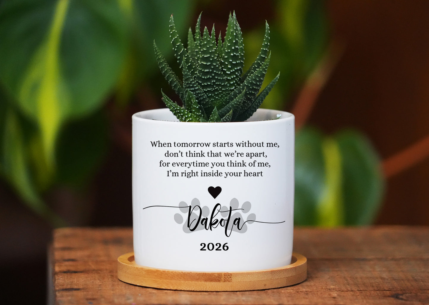 Custom Dog Memorial Planter with Photo, Name & Live PlantShiner Photo