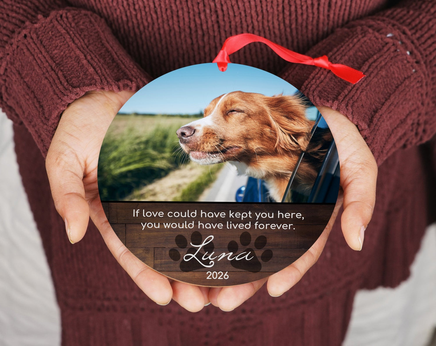 Custom Dog Memorial Ornament with Photo, Name & YearShiner Photo