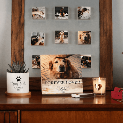 Custom Dog Memorial Photo Block with Photo, Name & DatesShiner Photo