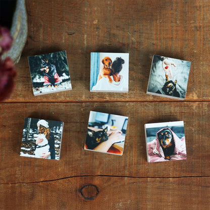 Dog Memorial Magnetic Memory Set, Mini Photo Blocks for Multiple MemoriesShiner Photo
