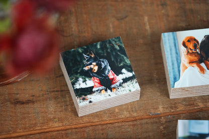 Dog Memorial Magnetic Memory Set, Mini Photo Blocks for Multiple MemoriesShiner Photo