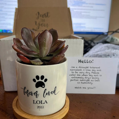 Custom Dog Memorial Planter with Photo, Name & Live PlantShiner Photo