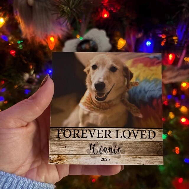 Custom Dog Memorial Photo Block with Photo, Name & DatesShiner Photo