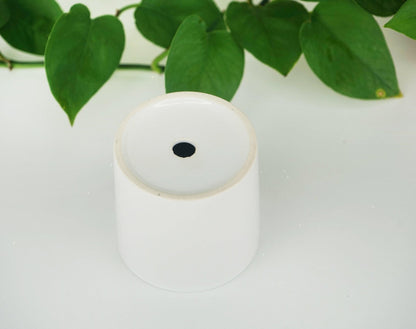 Custom Dog Memorial Planter with Photo, Name & Live PlantShiner Photo