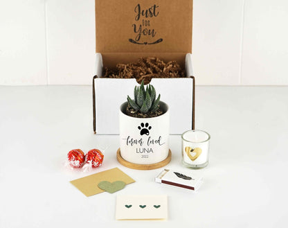 Custom Dog Memorial Planter with Photo, Name & Live PlantShiner Photo