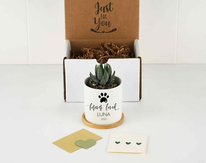 Custom Dog Memorial Planter with Photo, Name & Live PlantShiner Photo