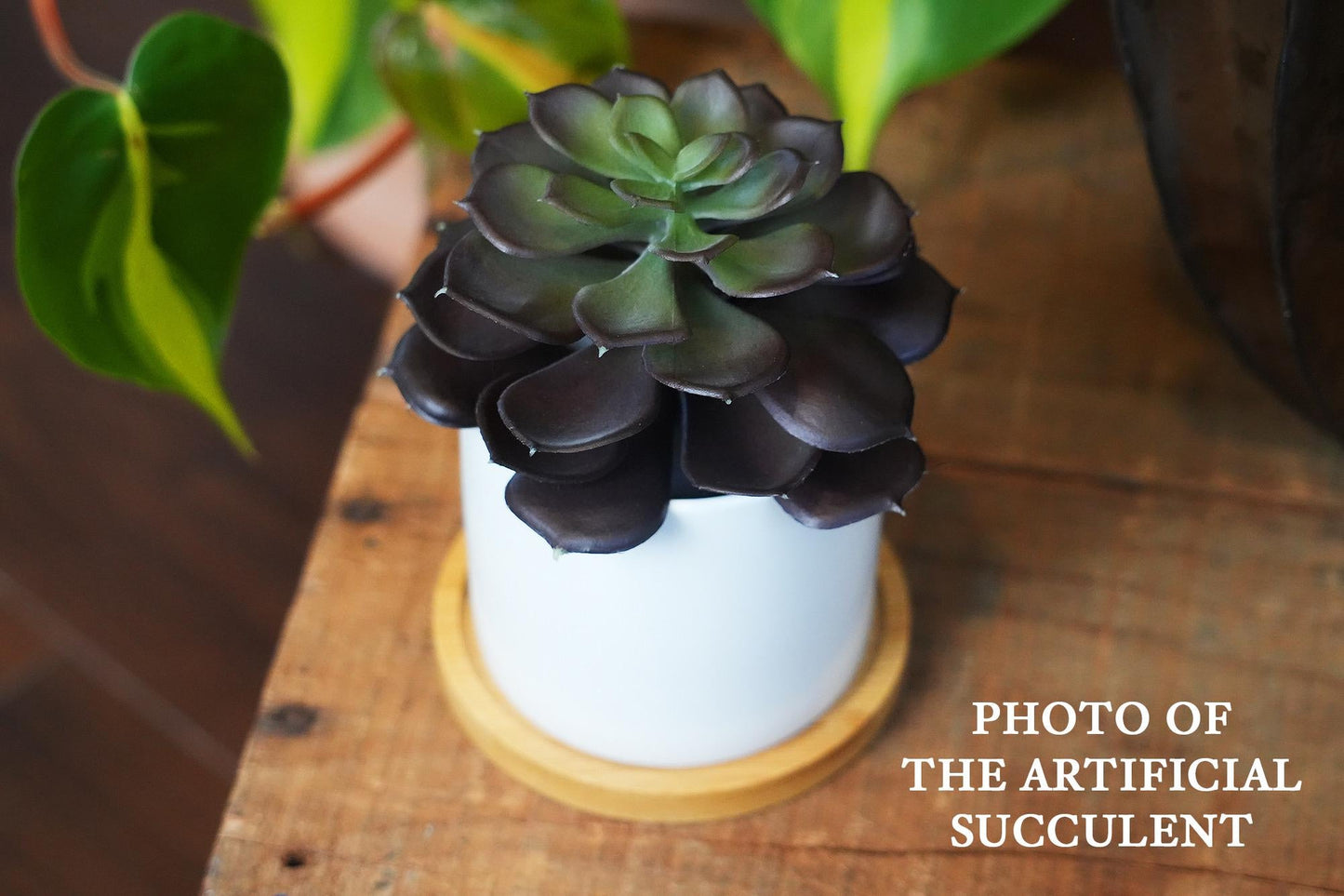 Custom Dog Memorial Planter with Photo, Name & Live PlantShiner Photo