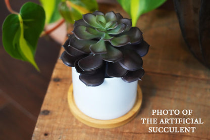 Custom Dog Memorial Planter with Photo, Name & Live PlantShiner Photo