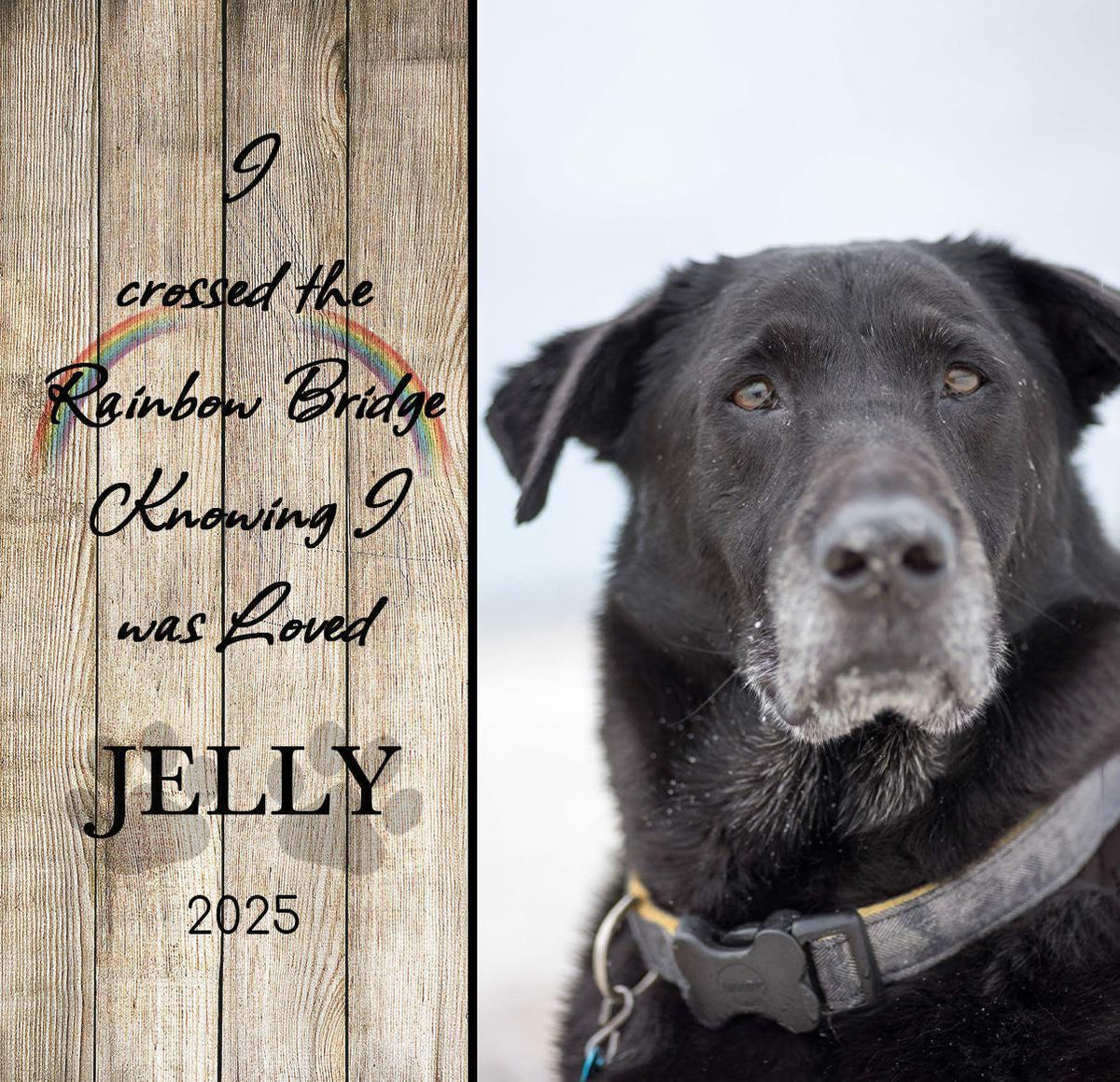 Crossed the Rainbow Bridge dog memorial photo block
