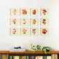 Set of 12 - Mushroom Illustration Wall Art - 6" x 6" Photo Blocks