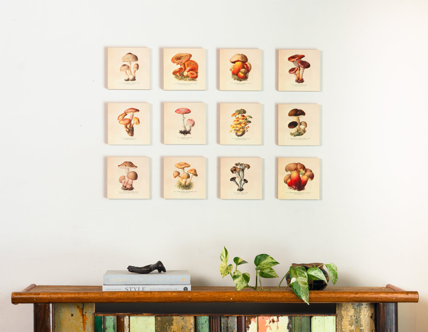 Set of 12 - Mushroom Illustration Wall Art - 6" x 6" Photo Blocks