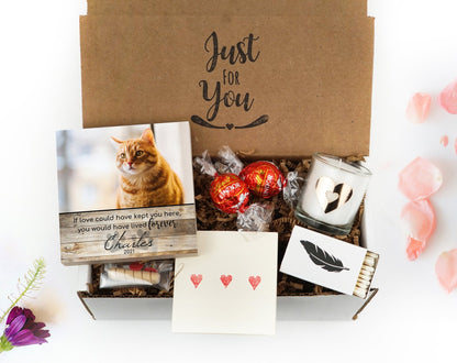 Cat Sympathy Gift Box with Memorial Photo Block - Shiner Photo
