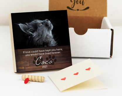 Custom Cat Memorial Photo Block with Photo, Name & Dates - Shiner Photo