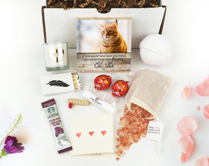 Cat Sympathy Gift Box with Memorial Photo Block - Shiner Photo