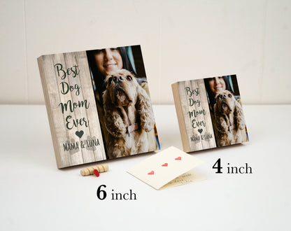 Personalized Best Dog Mom Gift Box - Dog Mama Frame 4" or 6" - Custom Dog Gift - Dog Lover Gift Box - Pet Dog Frame - Spa Gift Box - Shiner Photo