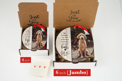 Jumbo Dog Memorial Photo Ornament, Pet Sympathy Gift - Shiner Photo