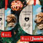 JUMBO ornament FREE Shipping - Personalized Pet Sympathy Gift - 4" or 6 (JUMBO)" - Personalized Christmas Ornament - Dog Memorial Photo