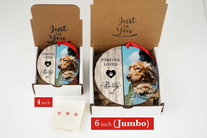Jumbo Pet Memorial Ornament with Free Shipping - Shiner Photo