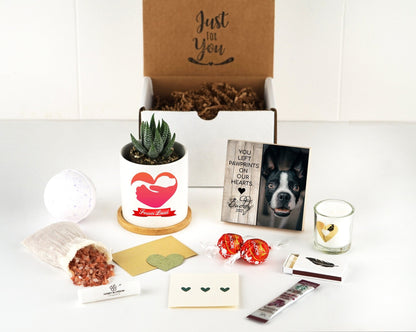 Dog Memorial Photo Block and Planter Bundle - Shiner Photo
