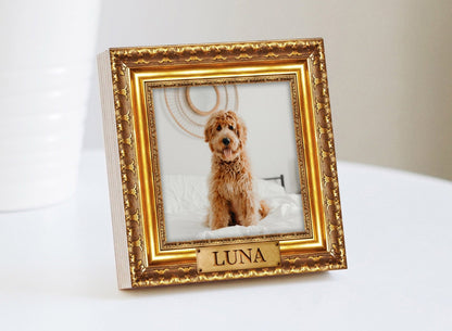 Gold Frame Style Dog Memorial Photo Block, Personalized - Shiner Photo